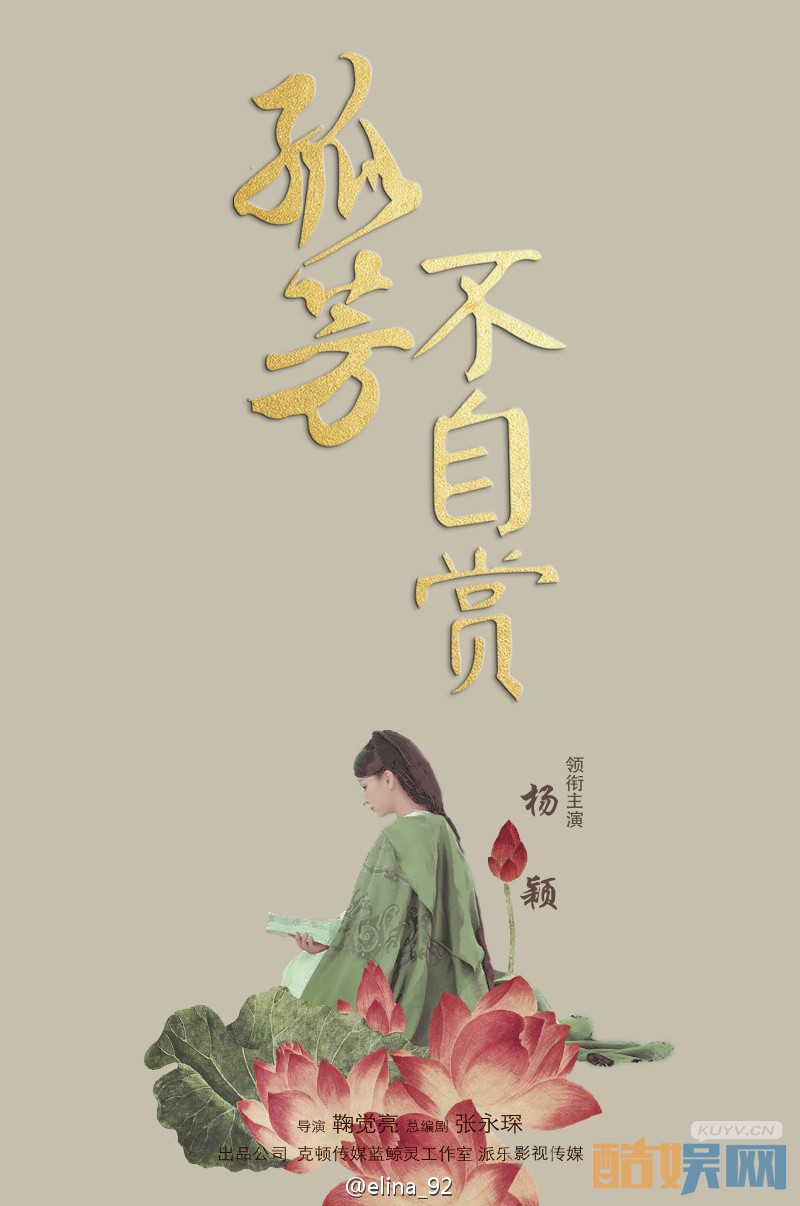孤芳不自赏海报