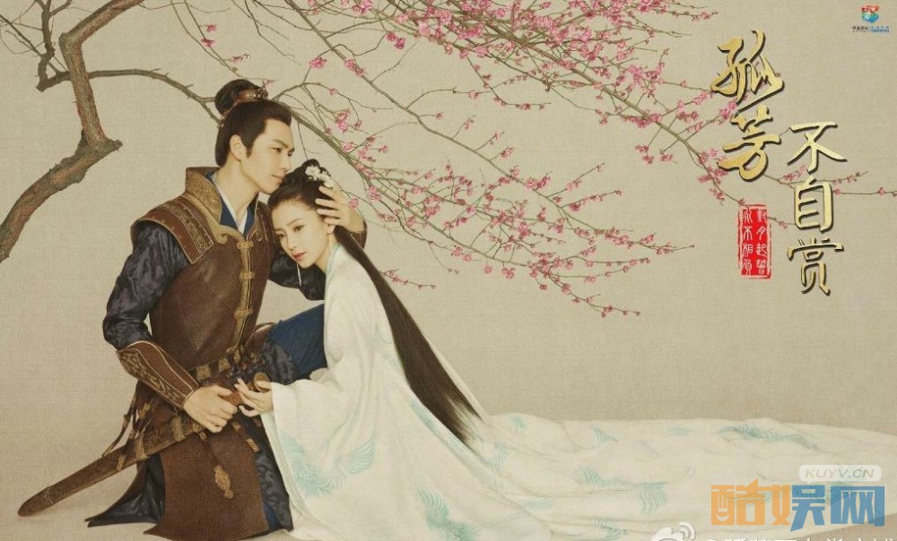 孤芳不自赏海报