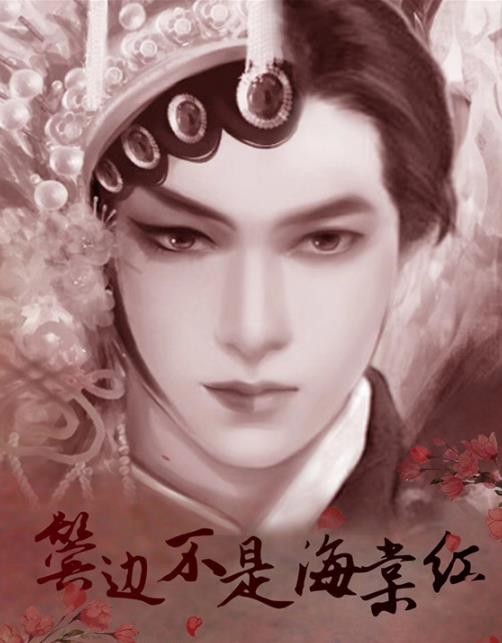 鬓边不是海棠红海报