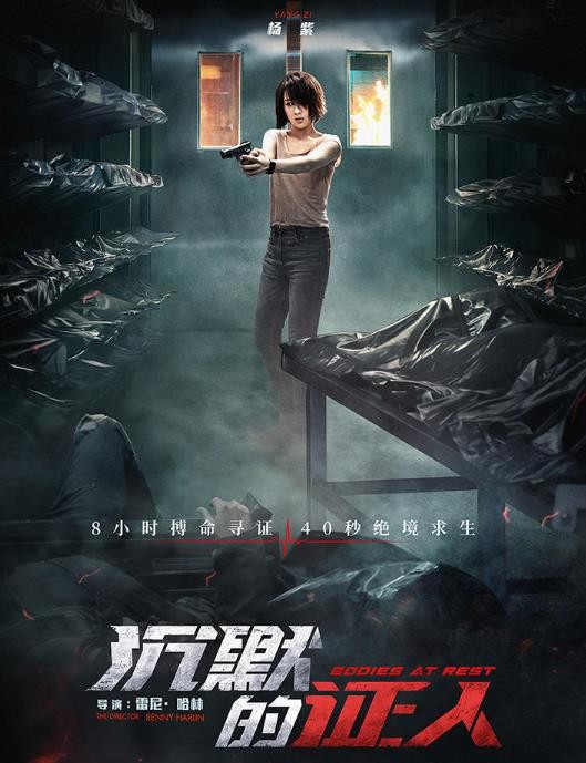 沉默的证人海报