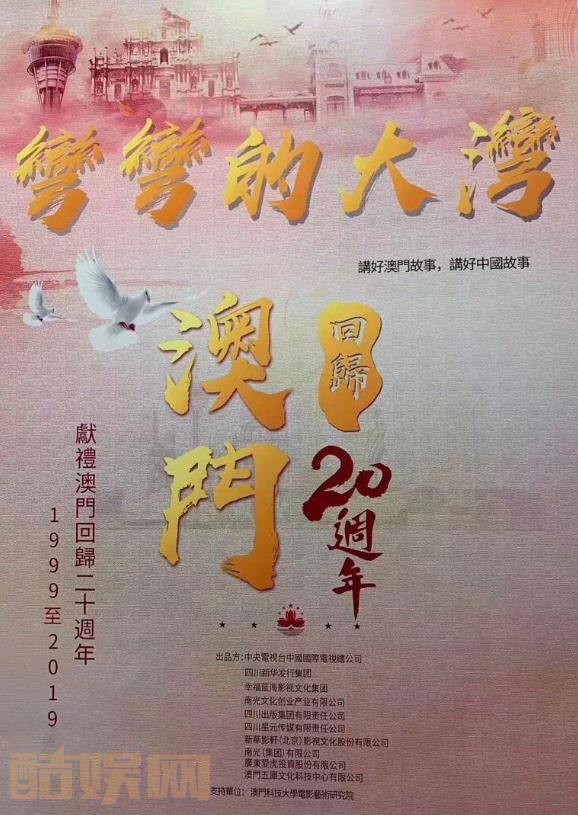 湾区儿女海报