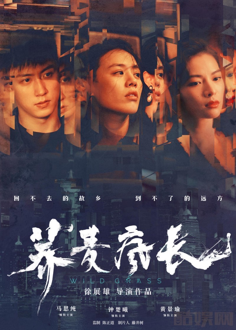 荞麦疯长海报