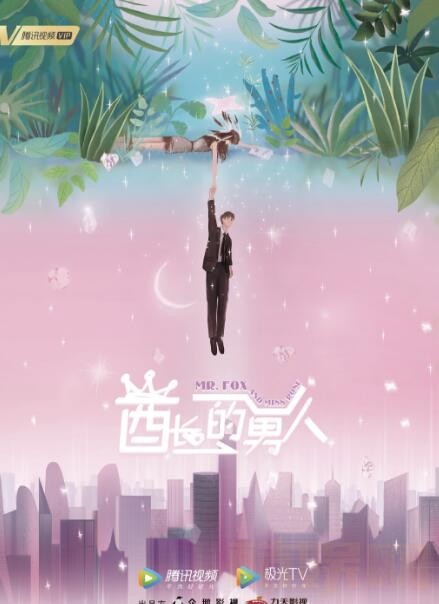 酋长的男人海报