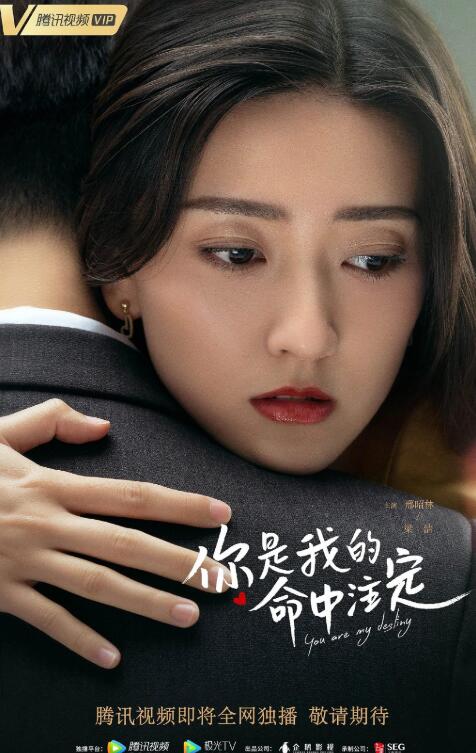 你是我的命中注定海报